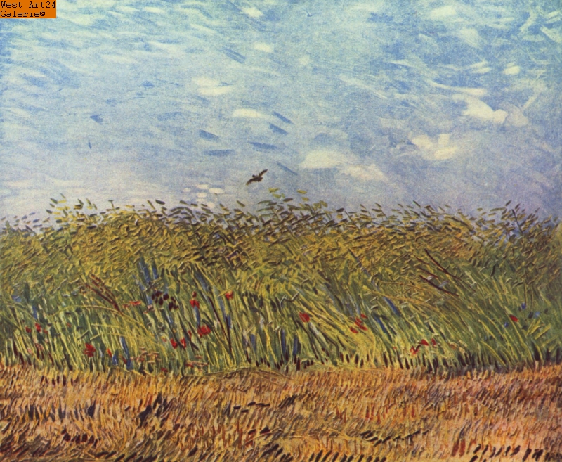 Weizenfeld mit Lerche nach van Gogh Gemäldeimitation